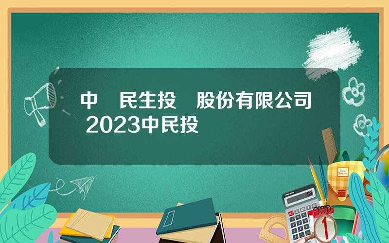 中國民生投資股份有限公司 2023中民投現狀